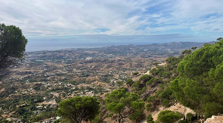 IMG-20241010-WA0035_907