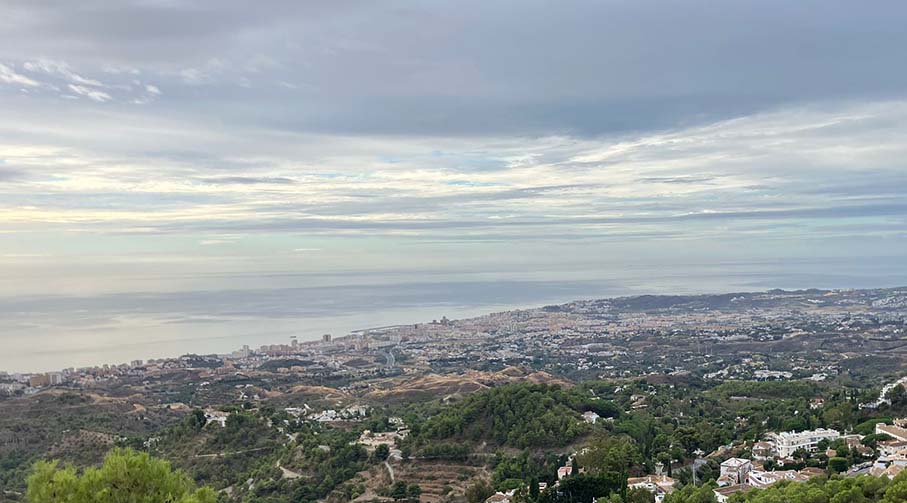 IMG-20241011-WA0021_907