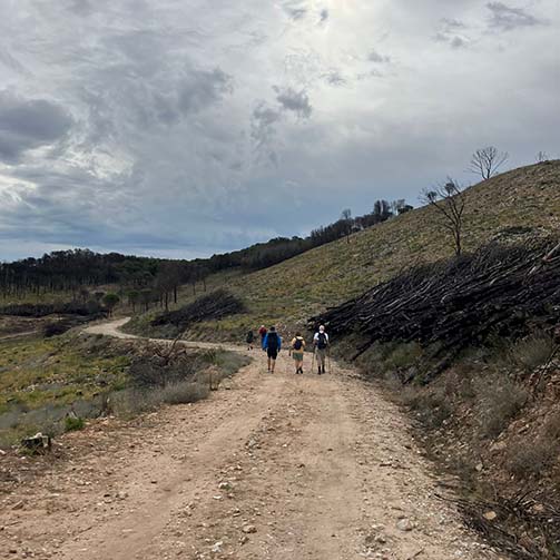 IMG-20241011-WA0024 copy