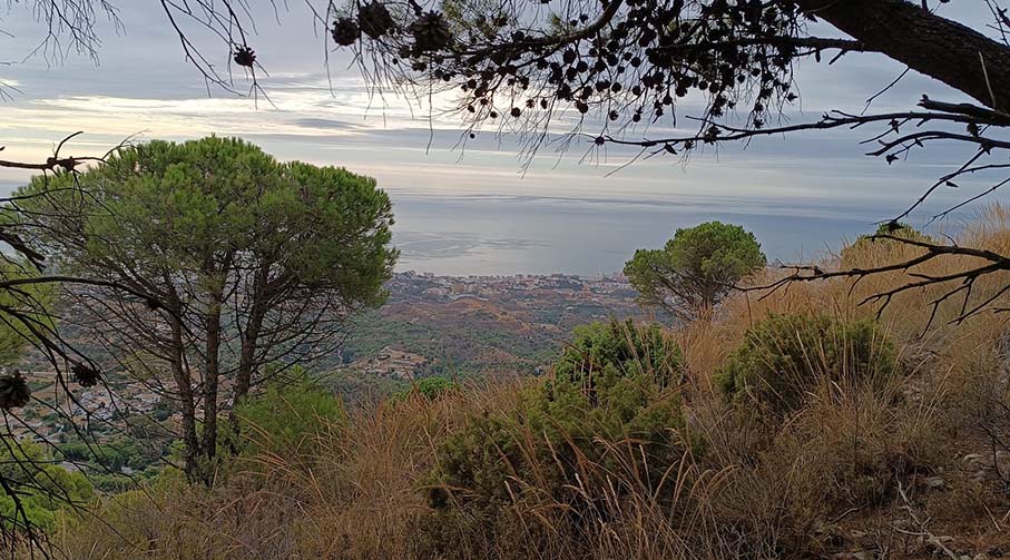 IMG-20241011-WA0081 copy