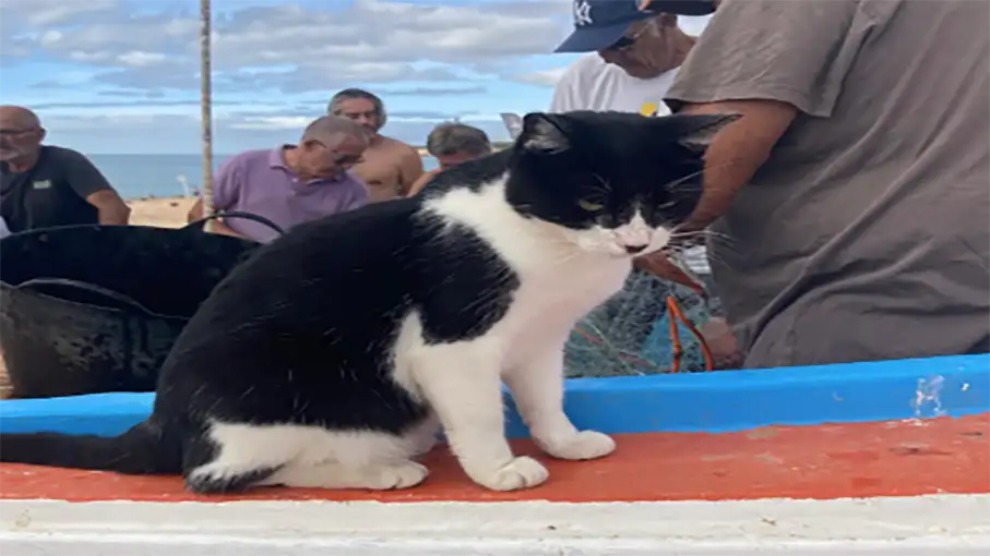Walking in the Algarve Senior Walkers 104_907