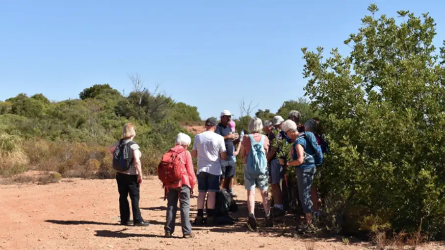 Walking in the Algarve Senior Walkers 52_907