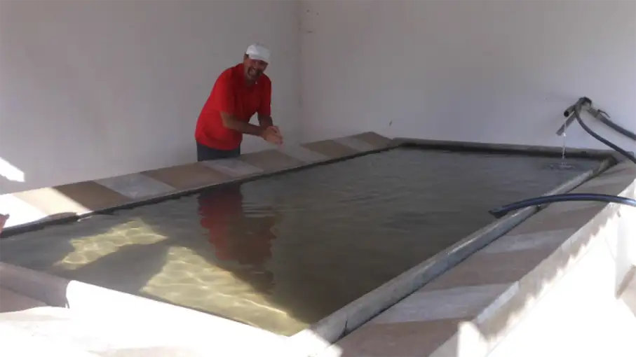 Walking in the Algarve Senior Walkers 63_907