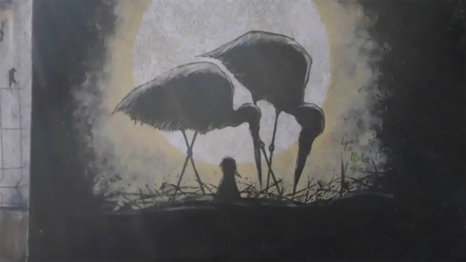 Walking in the Algarve Senior Walkers 65_907