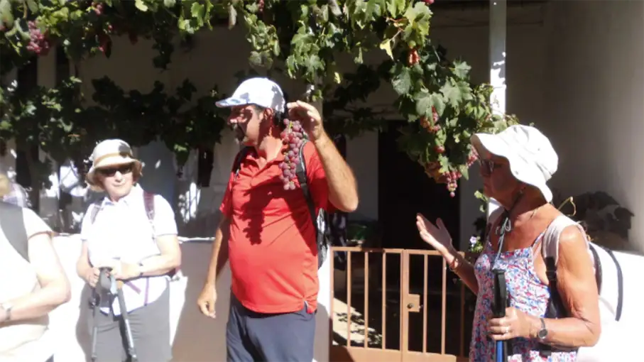 Walking in the Algarve Senior Walkers 66_907