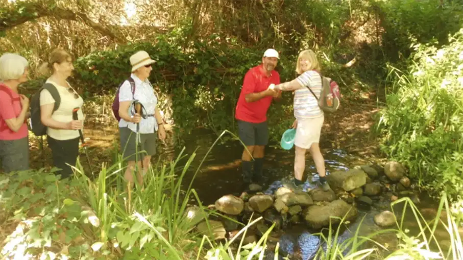 Walking in the Algarve Senior Walkers 68_907