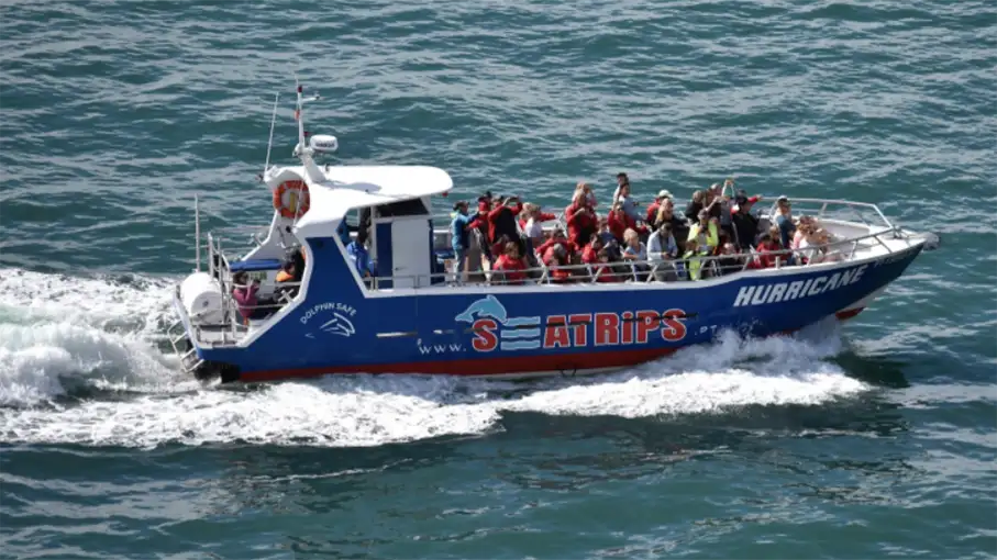 Walking in the Algarve Senior Walkers 86_907