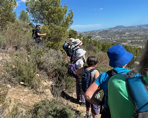 Photo competition Autumn Walking 18