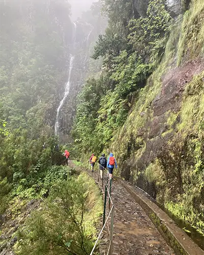 Photo competition Autumn Walking 3