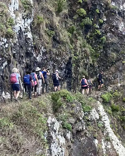 Photo competition Autumn Walking 4