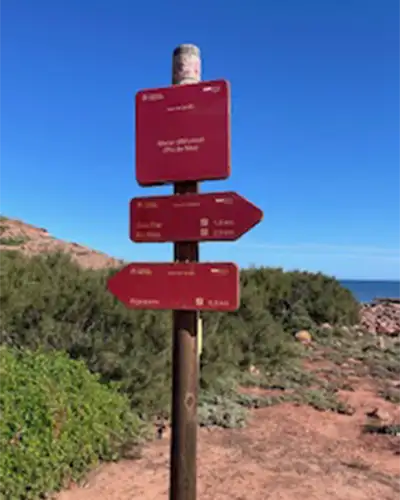 Photo competition Autumn Walking 7