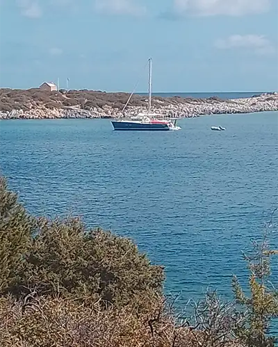 Photo competition Autumn Walking 9