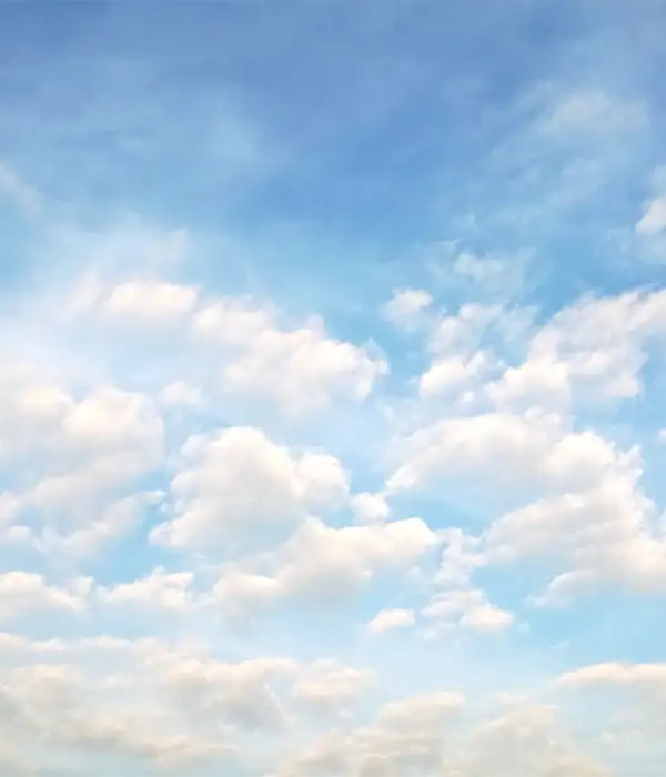 Fresh Winter Walking Air