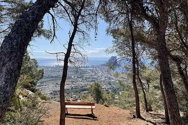 Photo competition q1 2025