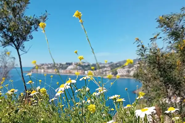 Walking in Andalucia 6