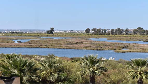 Senior Walking Club - Spain 2025 - IH_Page_006_Image_0001