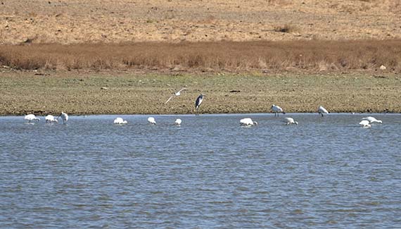 Senior Walking Club - Spain 2025 - IH_Page_016_Image_0001