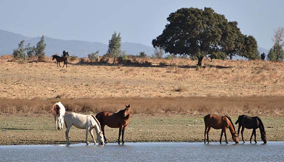 Senior Walking Club - Spain 2025 - IH_Page_017_Image_0001