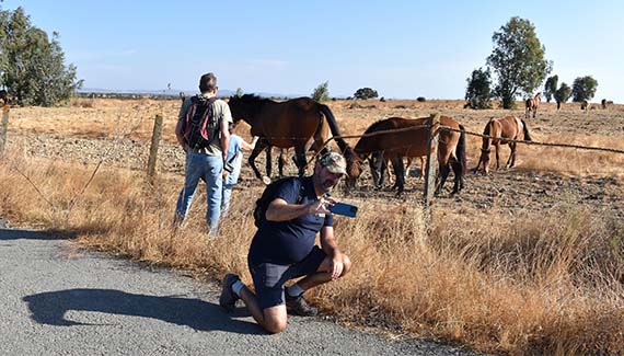 Senior Walking Club - Spain 2025 - IH_Page_020_Image_0001