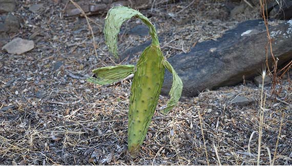 Senior Walking Club - Spain 2025 - IH_Page_026_Image_0001
