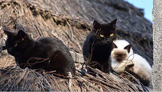 Senior Walking Club - Spain 2025 - IH_Page_056_Image_0001