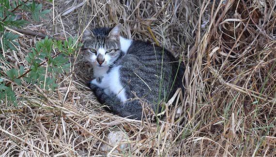 Senior Walking Club - Spain 2025 - IH_Page_059_Image_0001