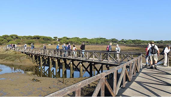 Senior Walking Club - Spain 2025 - IH_Page_062_Image_0001