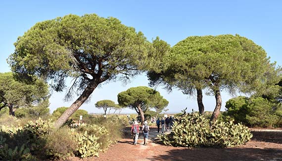 Senior Walking Club - Spain 2025 - IH_Page_065_Image_0001