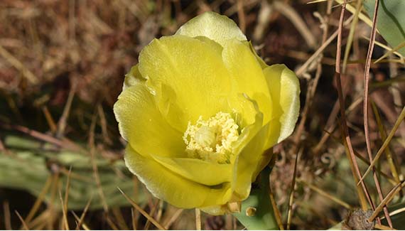 Senior Walking Club - Spain 2025 - IH_Page_066_Image_0001