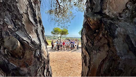 Senior Walking Club - Spain 2025 - IH_Page_074_Image_0001