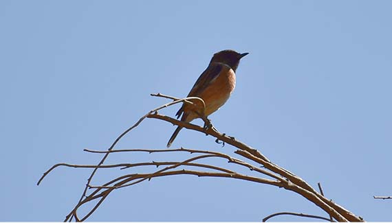 Senior Walking Club - Spain 2025 - IH_Page_092_Image_0001