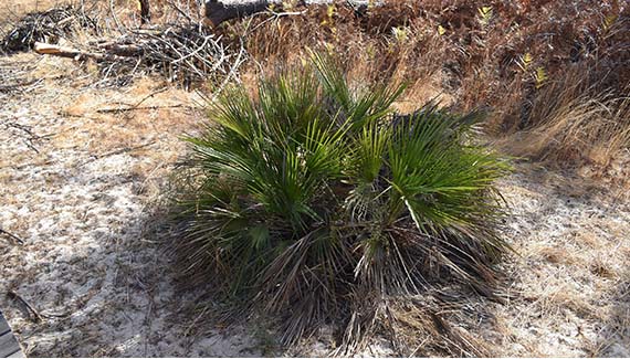 Senior Walking Club - Spain 2025 - IH_Page_103_Image_0001