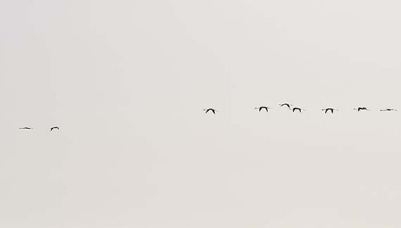 Senior Walking Club - Spain 2025 - IH_Page_119_Image_0001