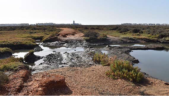 Senior Walking Club - Spain 2025 - IH_Page_120_Image_0001