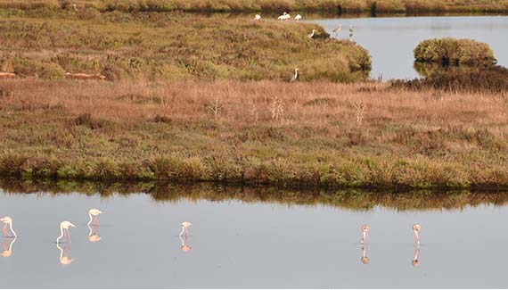 Senior Walking Club - Spain 2025 - IH_Page_123_Image_0001