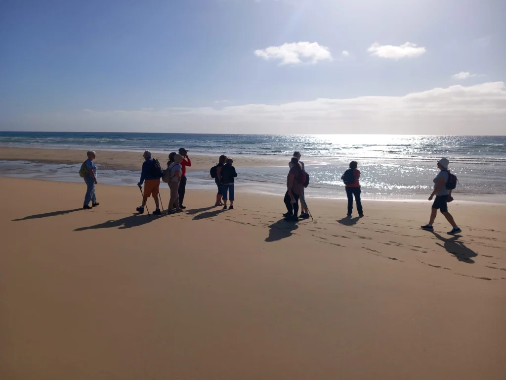 Walking group on the sand