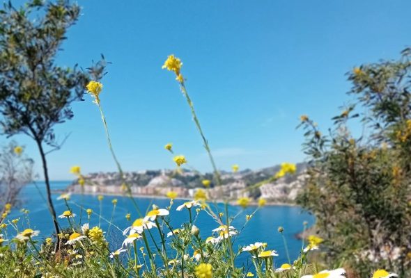 486567557_18167071666334051_533300548086230052_n