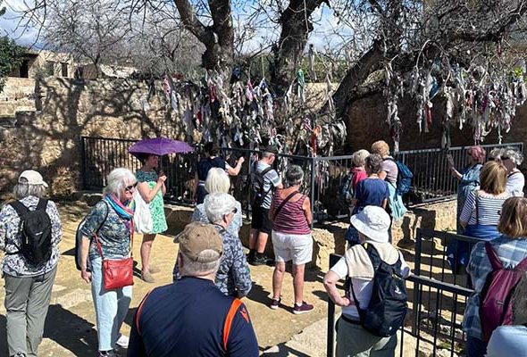 IMG-20240216-WA0005 copy