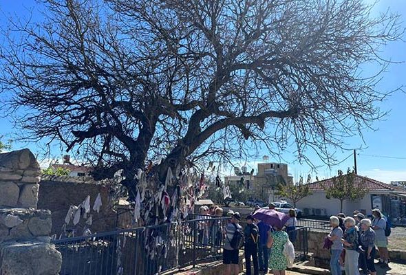 IMG-20240216-WA0006 copy