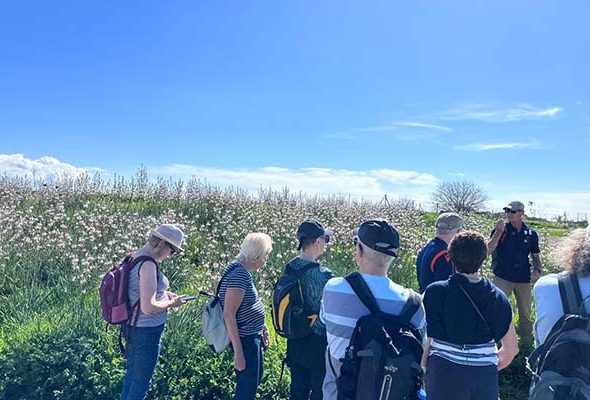 IMG-20240216-WA0009 copy