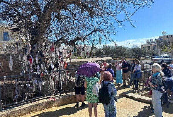 IMG-20240216-WA0010 copy