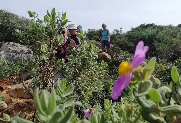 IMG-20240219-WA0003 copy