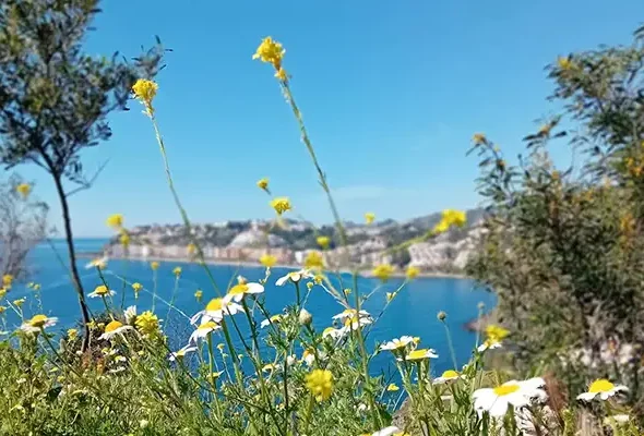 Walking in Andalucia 6