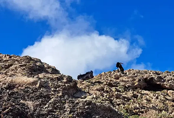 Walking in Lanzarote 1