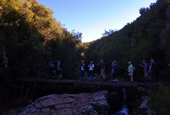 Walking in Madeira 1