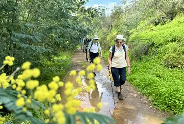 Walking in the Algare March 11