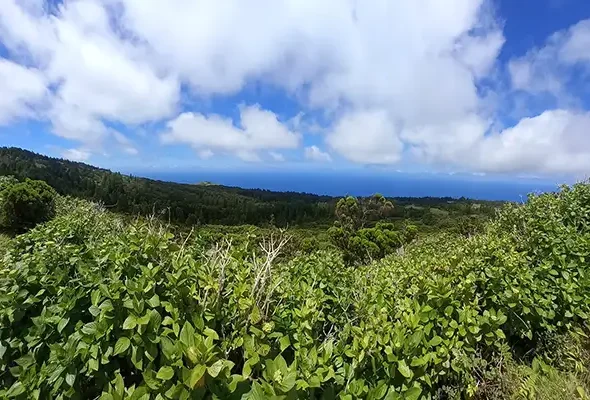 Walking-in-the-Azores-8