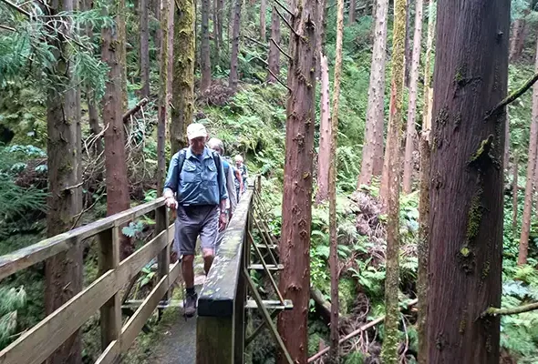 Walking-in-the-Azores-9