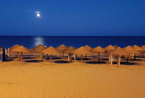 WhatsApp Image 2023-09-29 at 12.41.54_3f733b3a