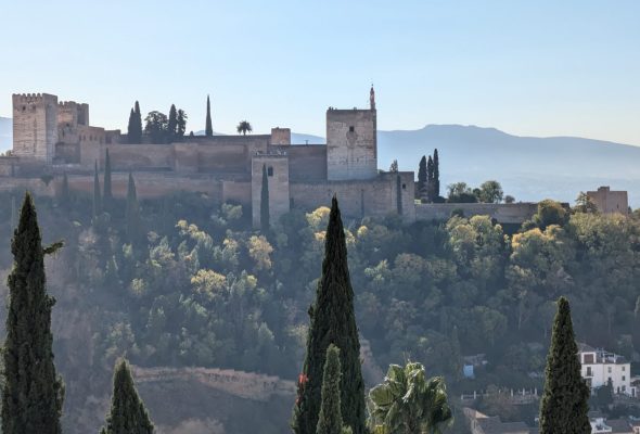 WhatsApp Image 2024-11-05 at 20.39.11_d58d750a